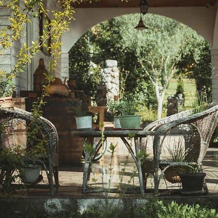 Guesthouse Lord Byron Tepelene Eksteriør bilde